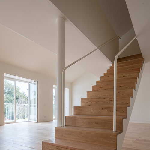 fotos.jpg_0005_rnsMamede_39